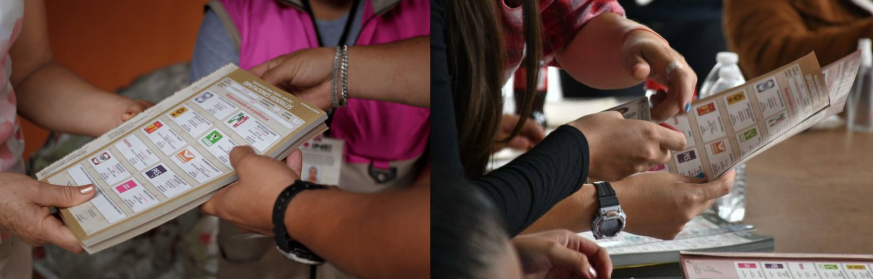 Apoyo en materia electoral